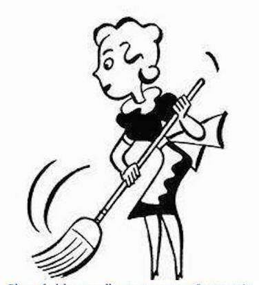 Experienced European Lady Offering House Cleaning Services.