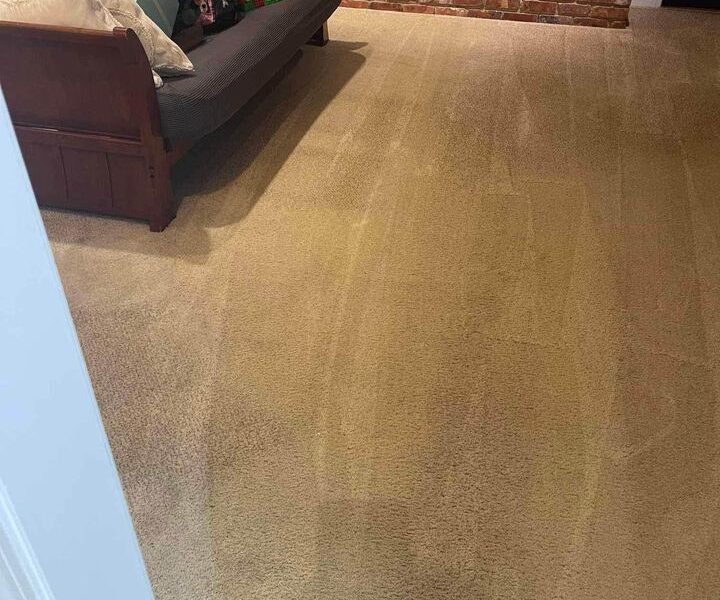 Clean and Carpet Shampoo