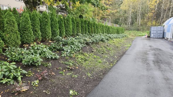 Exterior cleaning and maintenance services*