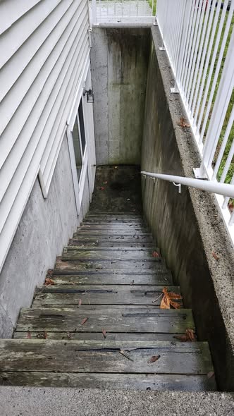 Exterior cleaning and maintenance services*